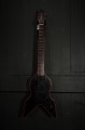 Takamine prototyp